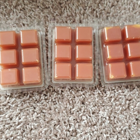 Bundle of Wax Cubes Melts🍂 - Picture 3 of 3